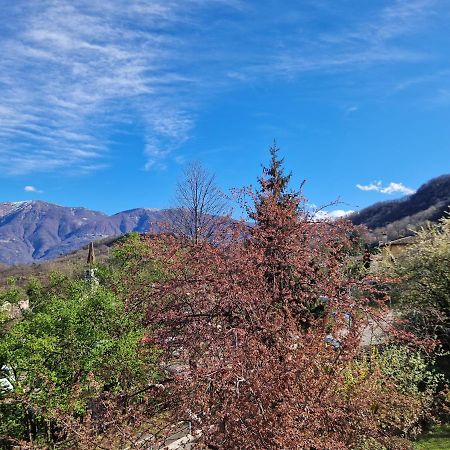 Hotel Zelindo Losone Buitenkant foto