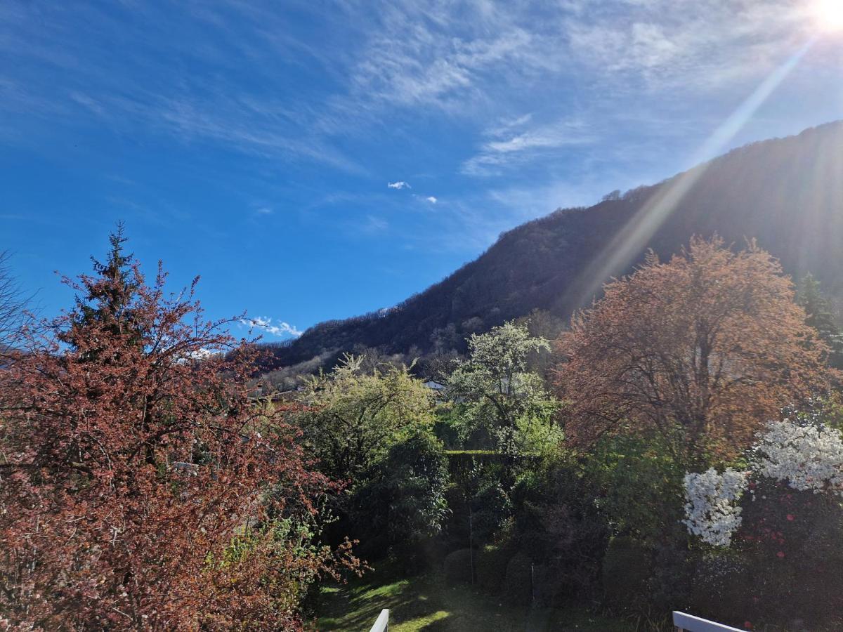 Hotel Zelindo Losone Buitenkant foto