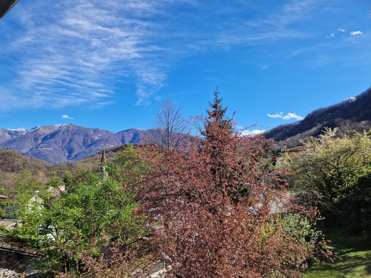 Hotel Zelindo Losone Buitenkant foto